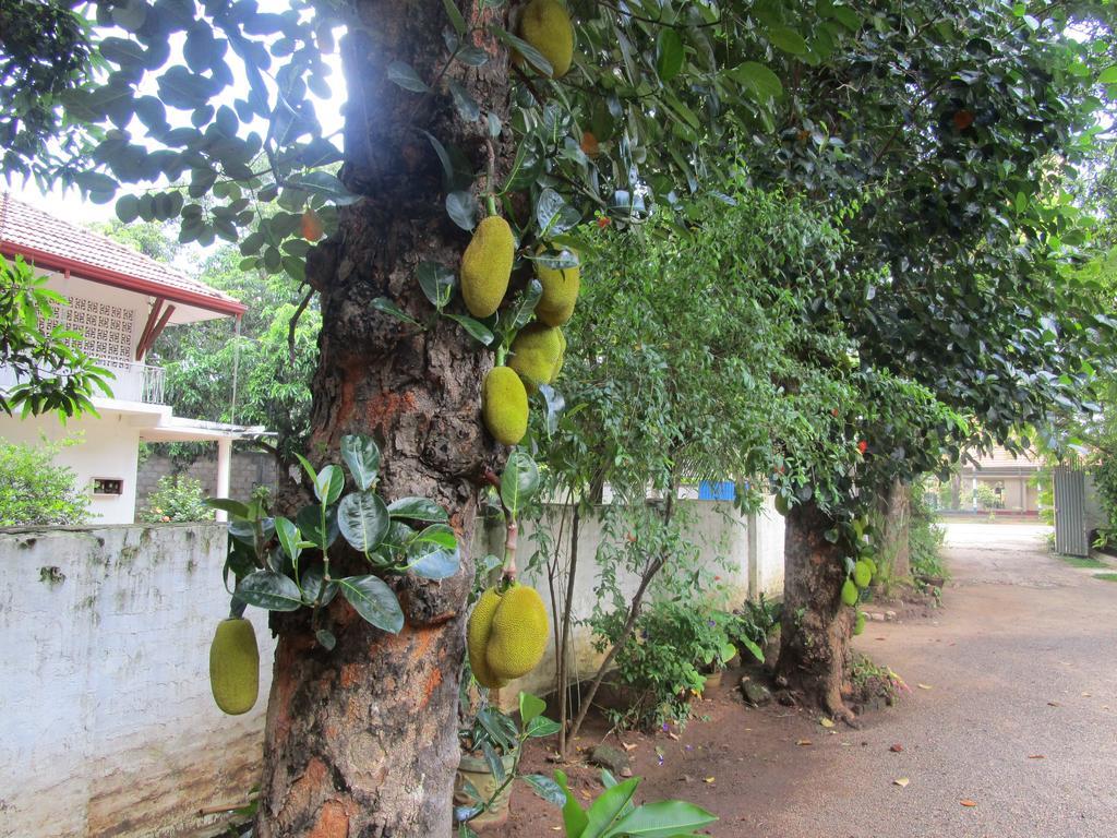 Hotel Shalini Anuradhapura Exterior photo